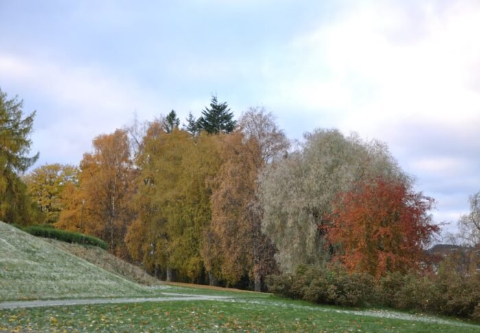 Fatigue, élan, retrait